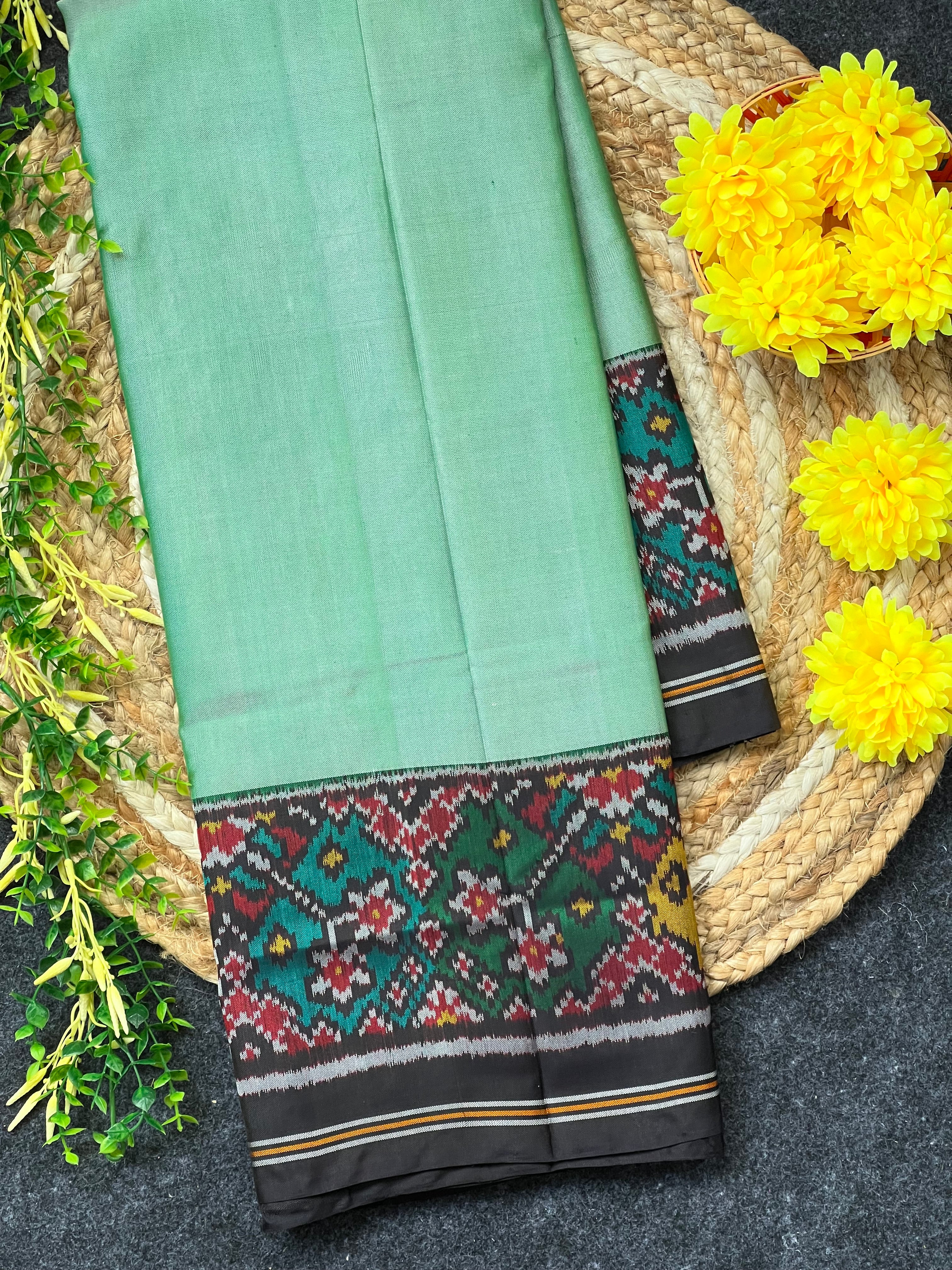 Pista Plain Gala Border With Designer Blouse  Handwoven Patola Silk Saree Main image