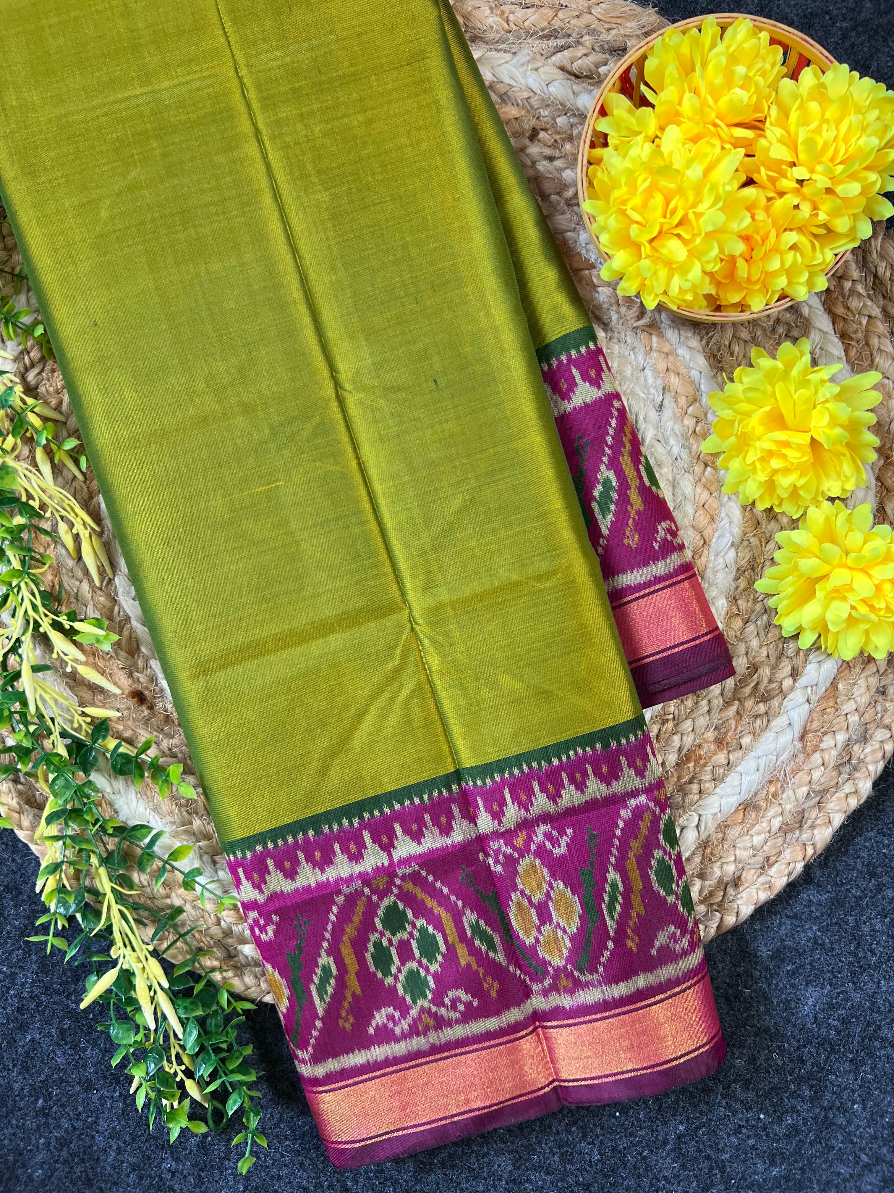 Parrot Green Gala Border Handwoven Patola Silk Saree Main image